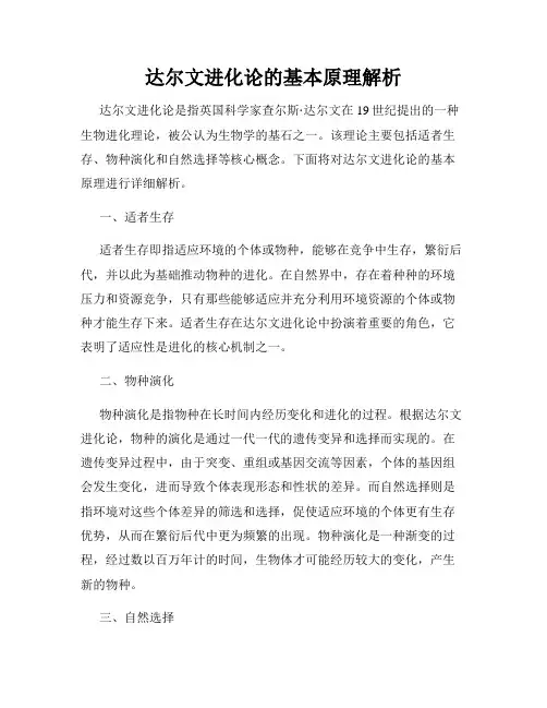 达尔文进化论的基本原理解析