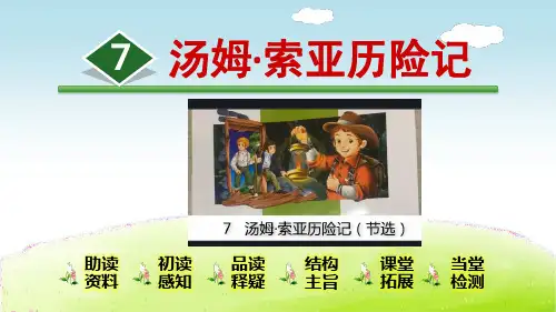 部编版六年级语文下册第7课《汤姆·索亚历险记》优质PPT课件