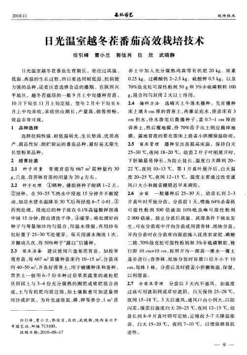 日光温室越冬茬番茄高效栽培技术