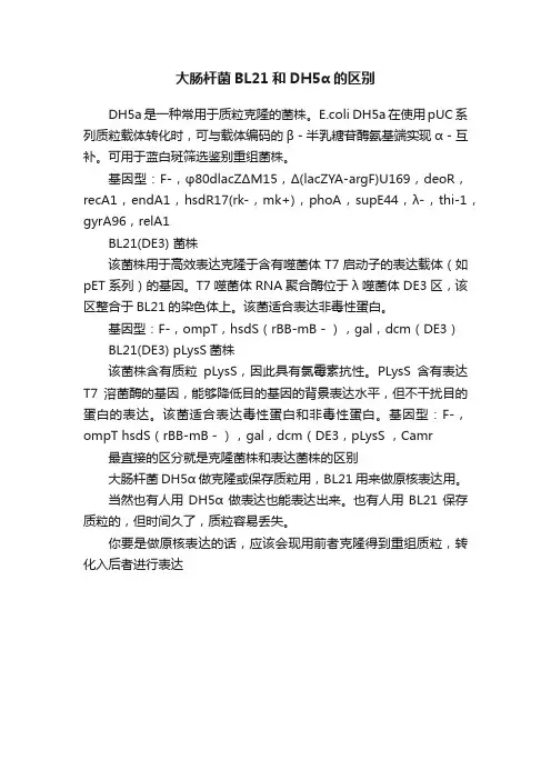 大肠杆菌BL21和DH5α的区别