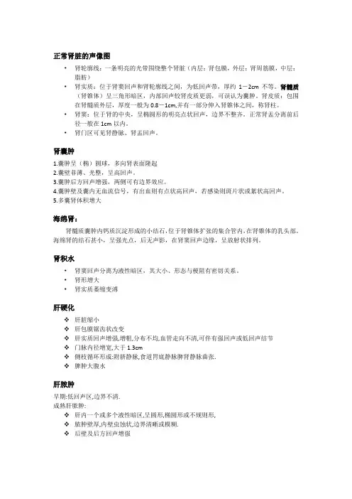 超声+肾图
