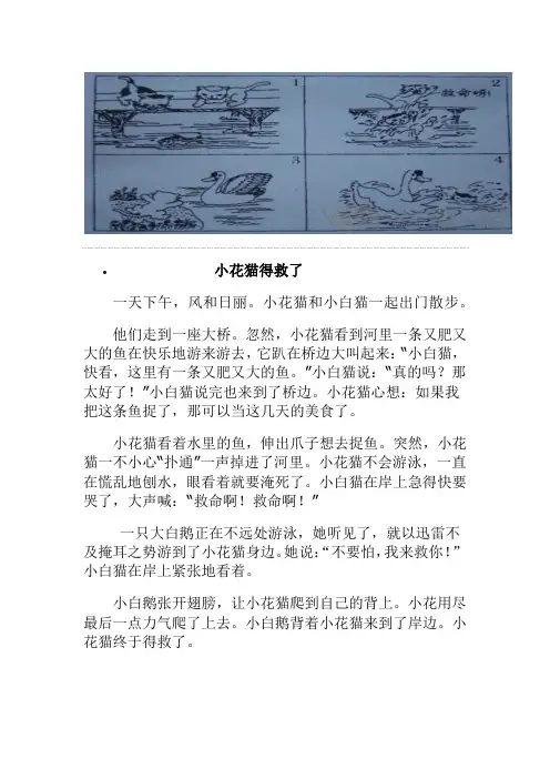 小花猫得救了