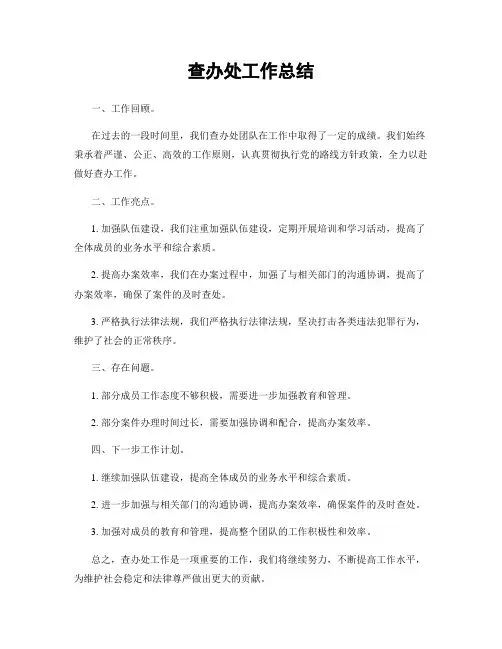 查办处工作总结