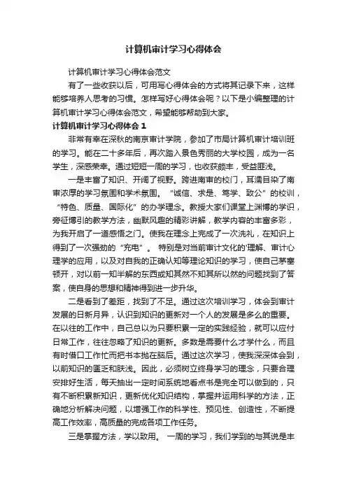 计算机审计学习心得体会范文