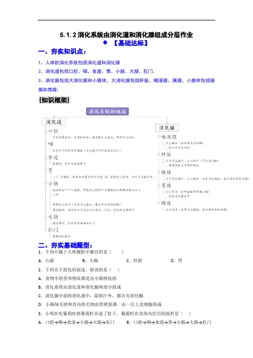 七年级生物下册同步备课系列5.1.2 (分层+特色作业)消化系统由消化道和消化腺构成-【大单元教学】