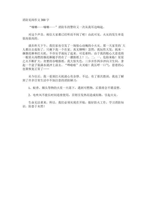 消防见闻作文300字