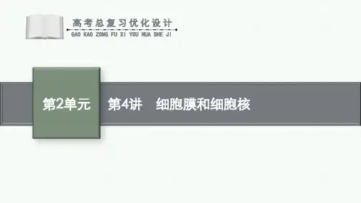 高考总复习优化设计一轮用书生物配人教版(适用于新高考新教材)—《第2单元 细胞的结构》