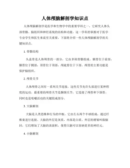人体颅脑解剖学知识点