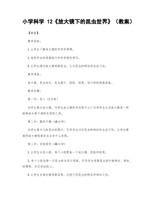 小学科学12《放大镜下的昆虫世界》(教案)