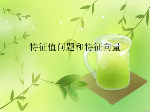 特征值问题和特征向量精品课件