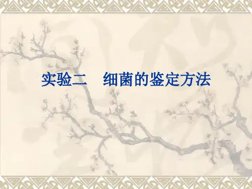 实验二 细菌的鉴定方法