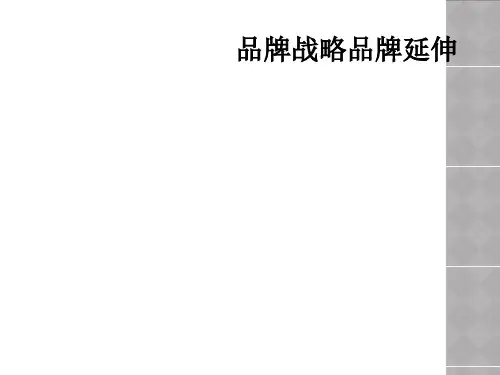 品牌战略品牌延伸