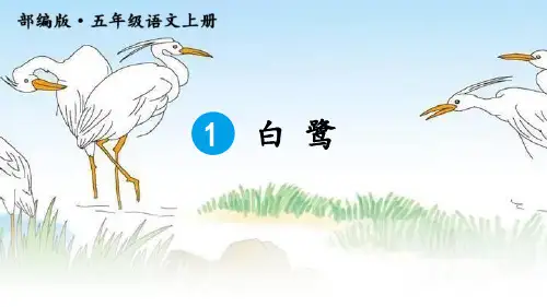 部编版五年级上册语文《白鹭》PPT优秀教学说课复习电子课件