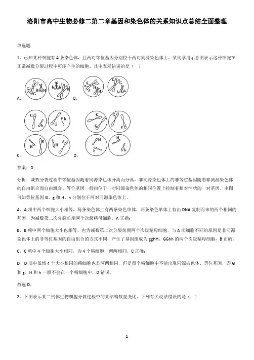 洛阳市高中生物必修二第二章基因和染色体的关系知识点总结全面整理