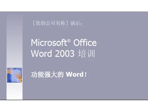 简洁的Word2003培训PPT模板
