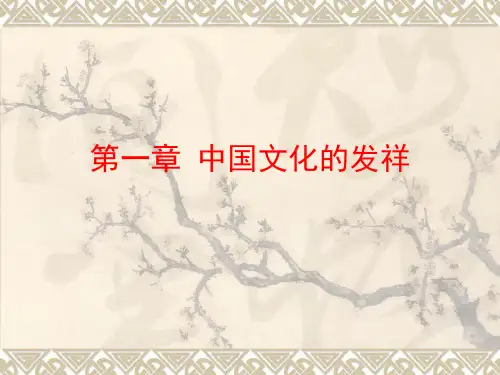 中国文化史 ppt课件