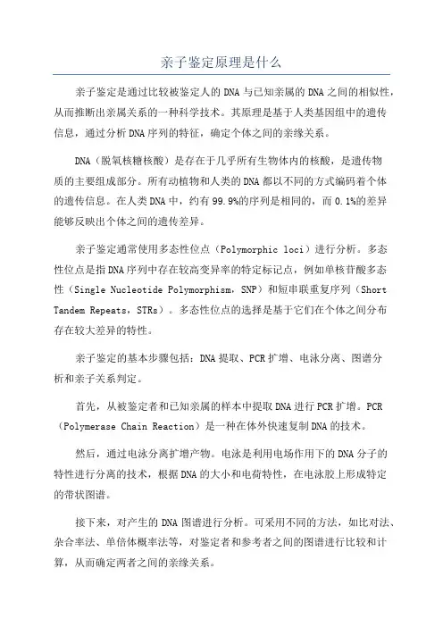 亲子鉴定原理是什么