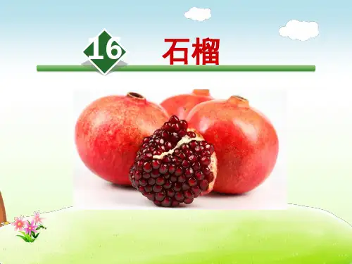 苏教版三年级语文上册《16.石榴》课件