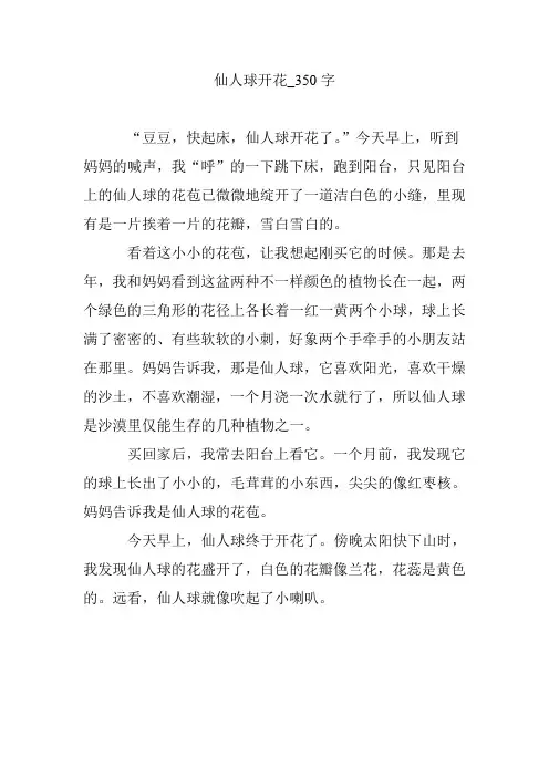 仙人球开花_350字