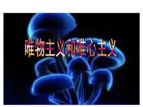 唯物主义和唯心主义