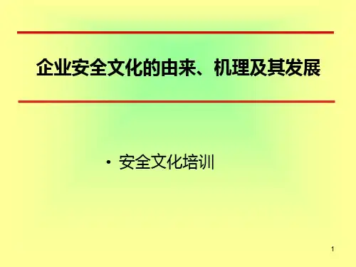 企业安全文化的由来机理及其发展