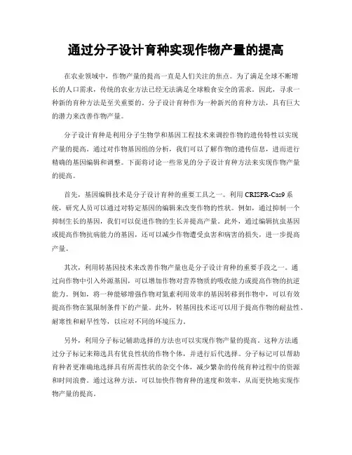 通过分子设计育种实现作物产量的提高