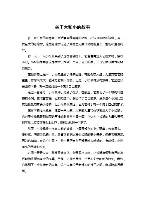 关于大和小的故事