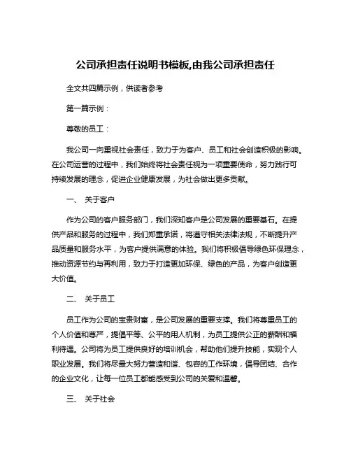 公司承担责任说明书模板,由我公司承担责任