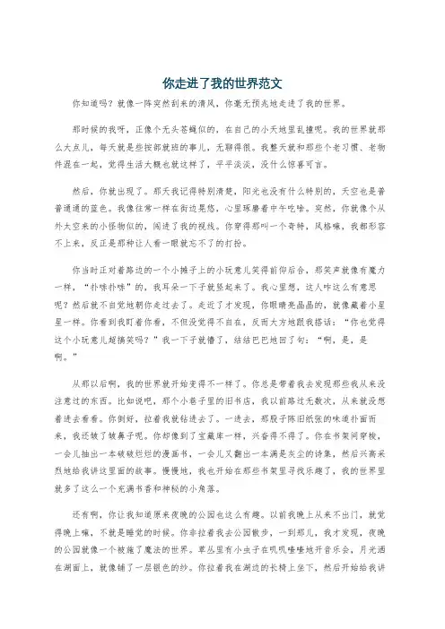 你走进了我的世界范文