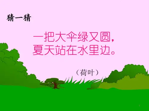 一年级下语文课件14 荷叶伞｜冀教版 (共17张PPT)