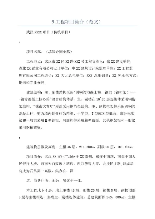 9工程项目简介(范文)