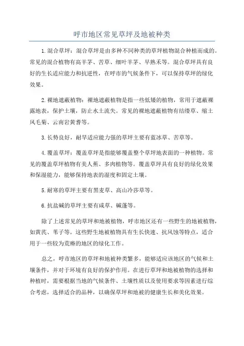 呼市地区常见草坪及地被种类