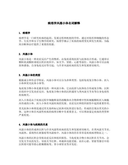 病理学风湿小体名词解释