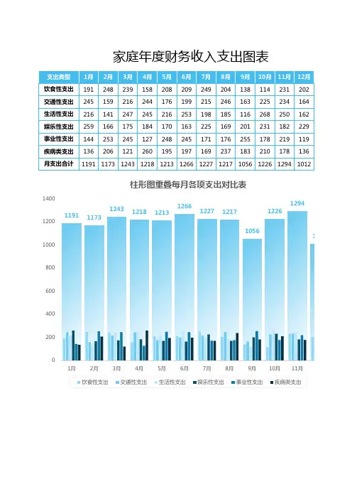 家庭年度财务收入支出图表