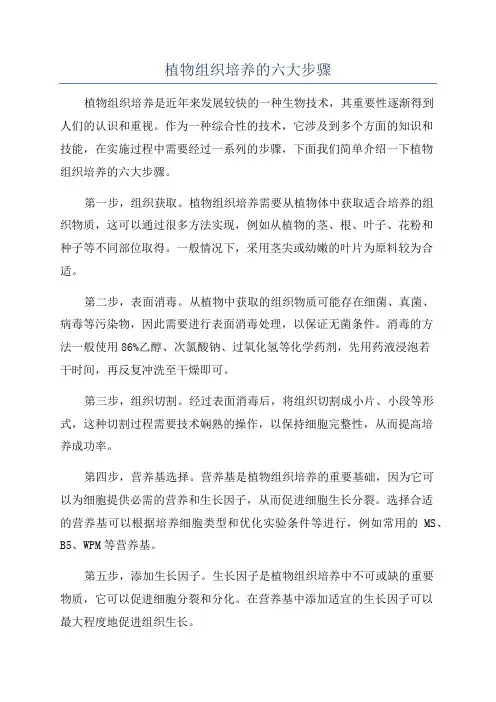 植物组织培养的六大步骤