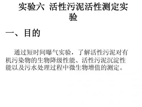 实验六++活性污泥活