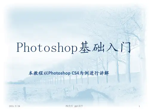 PS教程 ppt课件