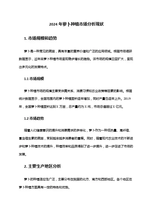 2024年萝卜种植市场分析现状