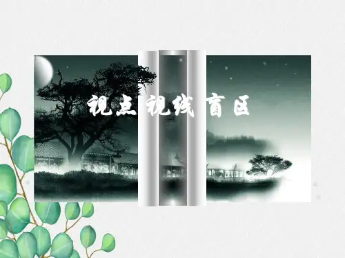 《《视点、视线、盲区》》课件 2022年人教版省一等奖PPT