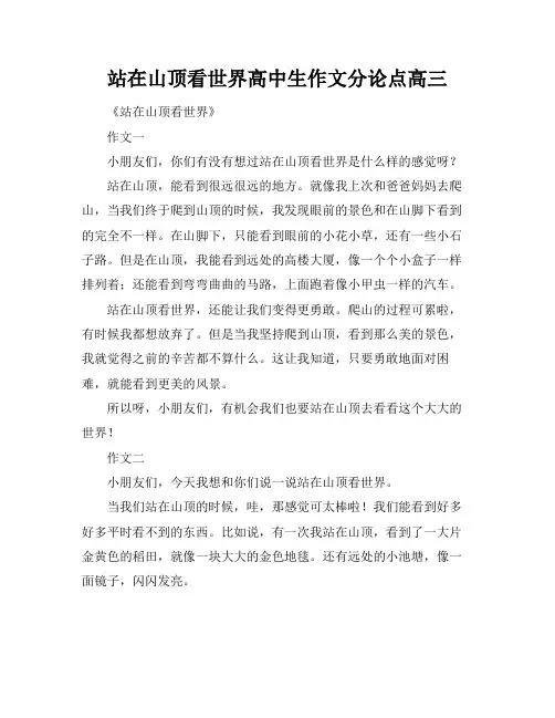 站在山顶看世界高中生作文分论点高三