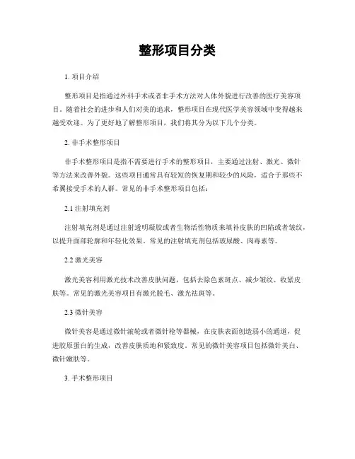 整形项目分类