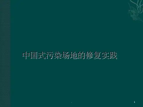 污染场地的修复实例