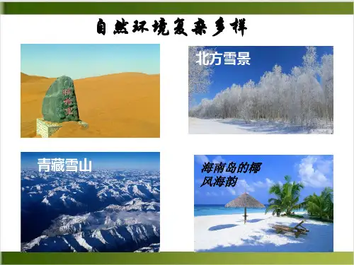 人教版教材PPT《中国的地理差异》ppt精品课件1