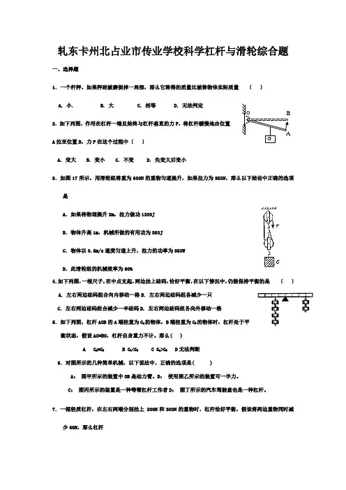 九年级科学上册 杠杆和动滑轮综合练习  试题
