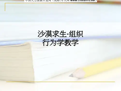 沙漠求生-组织行为学ppt课件