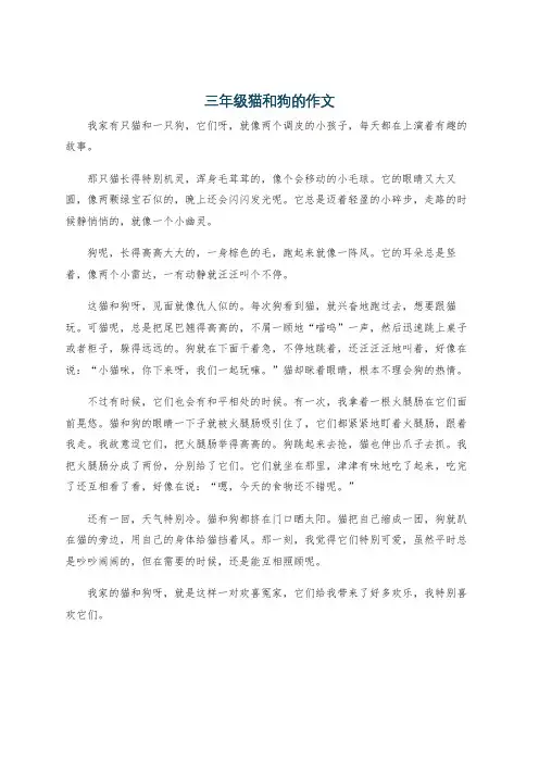 三年级猫和狗的作文