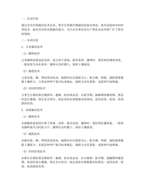 作物栽培技术实训报告范文