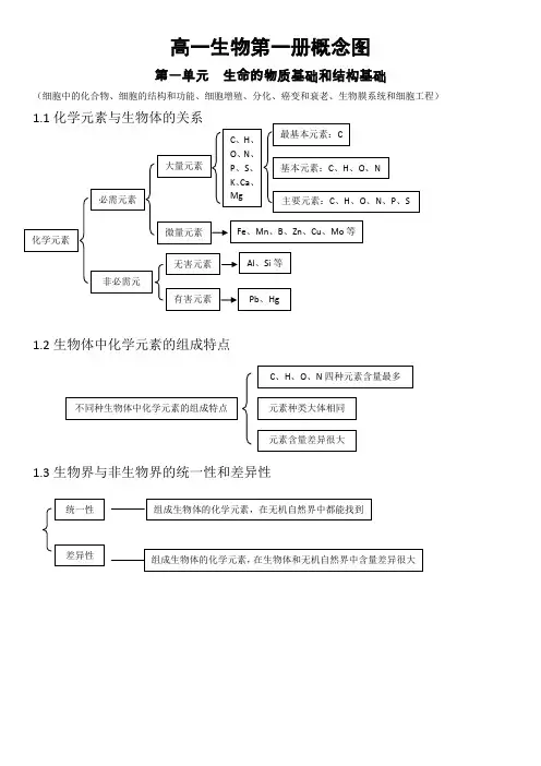 高一生物第一册概念图(人教版)