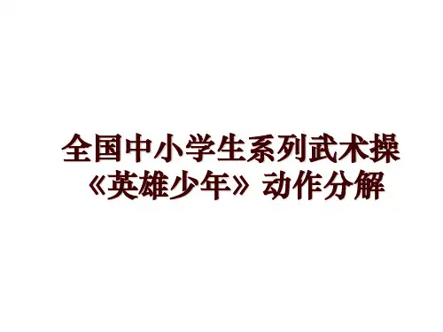 全国中小学生系列武术操《英雄少年》动作分解