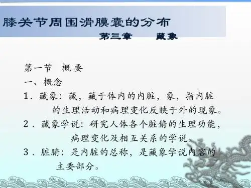 中医学基础(藏象)